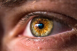 A lutein védi a szemet a káros sugárzástól